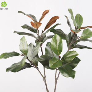 Hojas de Magnolia Artificiales de Plástico Verde de Alta Simulación con 2 Ramificaciones para Decoración de Bodas y Hogar - Product Image 5
