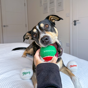 Pelota de Goma para Perros, Diseño Nuevo, Premium, Personalizada, para Entrenamiento, Resistente, Interactiva, Indestructible, para Masticar - Product Image 4