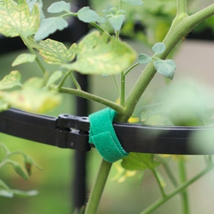 Feuille <span class=keywords><strong>auto</strong></span>-adhésive de plante de patch de Velcroes 5M bande adhésive élastique de fixation Velcroes attaches de crochet et de boucle - Product Image 5