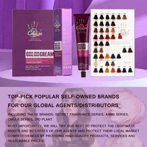 Nuovo caldo Private Label luce bionda colore dei <span class=keywords><strong>capelli</strong></span> crema per <span class=keywords><strong>capelli</strong></span> tinture per salone professionale bassa ammoniaca Formula delicata per la colorazione dei <span class=keywords><strong>capelli</strong></span> crema - Product Image 4