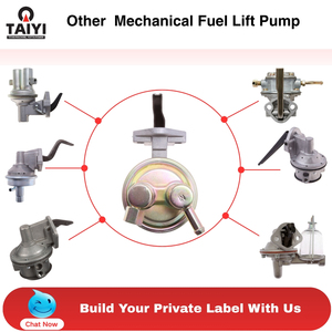 2960267 SP1142MP M16187 4845 Chrysler Dodge Plymouth için Mekanik Yakıt Kaldırma Pompası OEM/ODM Mevcut Numune Mevcut - Product Image 2