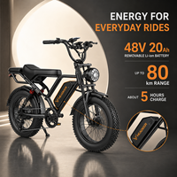 Vélo électrique à pneus larges BK20 250W 48V 20Ah avec batterie au lithium, vélo de montagne tout-terrain pour adultes de 20 pouces