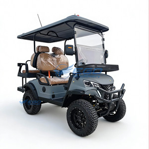 Mini Carro de Golf Eléctrico Multifuncional, Color Gris, Carro de Golf Eléctrico con Tracción en las 4 Ruedas, Buggy Eléctrico - Product Image 4