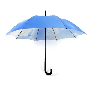 Double Canopy Blue Sky Weiße Wolken Haken Kunststoff griff Promotion Geschenk markt Auto Open Straight Umbrella
