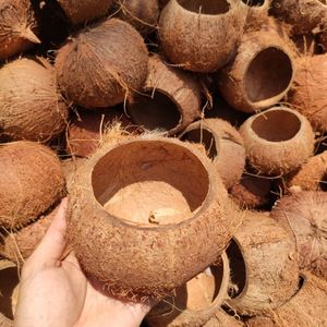 Bols en coquille de noix de coco bon marché cuillères fourchette-coquille de noix de coco crue pour coquille de noix de coco artisanale - Product Image 6