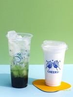 Gobelets jetables en polypropylène de calibre 90 pour thé au lait et jus de fruits avec couvercle dôme personnalisé, 500 pièces/paquet pour boissons froides/chaudes