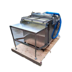 Semoir à bouchons de haute précision à <span class=keywords><strong>98</strong></span>%, équipement de semis semi-automatique pour l'horticulture, semoir à bouchons semi-automatique - Product Image 1