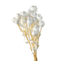 Nouveaux produits Roses préservées avec tige naturelle Différentes couleurs disponibles Fleurs préservées pour bouquets