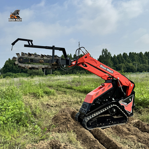 Chargeuse compacte agricole certifiée CE, livraison rapide en gros, avec attache fourche très pratique pour le transport de palettes de fruits frais - Product Image 1