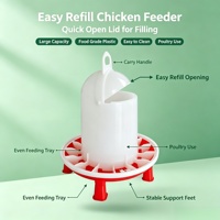 Nouveau système d'alimentation automatique pour poulets MUDUODUO FTM-10-4D pour l'élevage, propre et durable, facile à utiliser