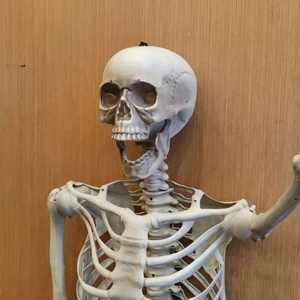 Esqueleto Humano Gigante de 60 Polegadas em Tamanho Real para Decoração de Halloween com Juntas Posicionadas - Product Image 6