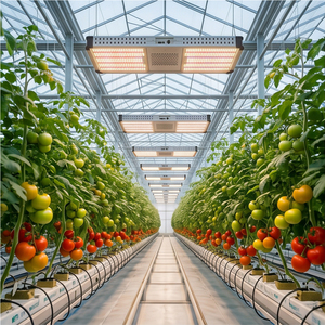 Lámpara LED de Cultivo de Espectro Completo de 800W 900W, Reemplazo de <span class=keywords><strong>HPS</strong></span> 1:1, para Uso en Invernaderos Interiores, Lámpara LED de Cultivo de Primera Calidad - Product Image 2