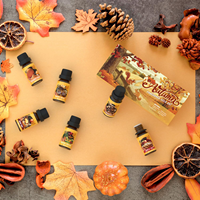 Ensemble d'huiles parfumées d'automne pour diffuseur, senteurs d'automne pour la fabrication de savons et de bougies : cidre épicé, sirop d'érable, cannelle, tarte aux pommes