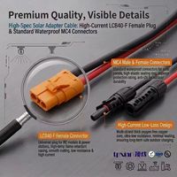 Kabel Cabang PV Surya Custom 10AWG 12AWG Amass LCB40-F ke Adaptor Konektor Surya Dual MC4 untuk Generator Pembangkit Listrik Portabel