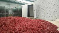 Industriële fruit- en groentedroger met pomp, roestvrij staal, hoge efficiëntie, voedselverwerking