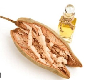Huile de Baobab Multi-Qualités Pressée à Froid, Qualité Cosmétique et Alimentaire, 100% Huile de Graine de Baobab, Huile Végétale Naturelle, Approvisionnement en Gros - Product Image 2
