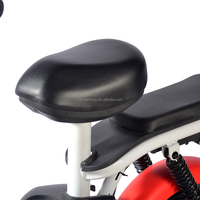 Vélo électrique 48V tendance, 3 vitesses, vélo électrique à bas prix, vélo électrique pour adultes, batterie 350W, prix du vélo électrique