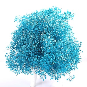 Ramo de Gypsophila Seca Preservada, Ramo de Flores Secas para Decoración del Hogar/Boda - Product Image 5