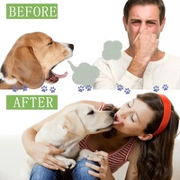 Spray de nettoyage des dents naturel de marque privée personnalisé en usine dissolvant d'odeurs pour chats et chiens taches tartre haleine fraîche nettoyage de la bouche spray de soins dentaires