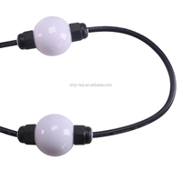SHIJI extérieur étanche personnalisé UCS1903 LED 50mm rvb couleur point d'éclairage suspendu décoratif Led guirlande lumineuse boule lumineuse