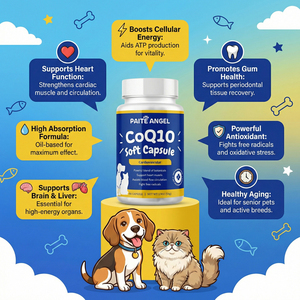 Suplemento Cardíaco para Mascotas <span class=keywords><strong>de</strong></span> Marca Privada, Coenzima Q10 en Cápsulas Blandas para <span class=keywords><strong>Perros</strong></span> y Gatos, Alta Absorción, Aceite <span class=keywords><strong>de</strong></span> Pescado, Linaza - Product Image 1