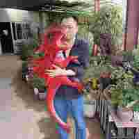 Marionnette dragon animatronique réaliste pour bébé dinosaure 3D