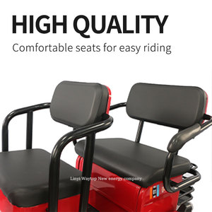 Nueva Bicicleta Eléctrica de 3 Ruedas con 750W de Gran Potencia, <span class=keywords><strong>Triciclo</strong></span> Eléctrico Inteligente - Product Image 4