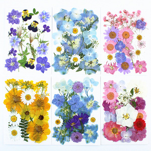 Kit <span class=keywords><strong>de</strong></span> Manualidades con Flores Prensadas Naturales Mixtas, Flores Secas Reales para Resina Epoxi, Decoración <span class=keywords><strong>de</strong></span> Uñas, Manualidades, Creación <span class=keywords><strong>de</strong></span> Adornos - Product Image 1