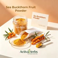 ActivaHerbs Natuurlijk Duindoornvruchtenpoeder Duindoornbessenpoeder Hippophae Rhamnoides voor Voedingssupplement