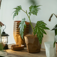 Fournisseur chinois de pots de fleurs en plastique écologiques faits à la main, jardinières de bureau pour la maison, le jardin, le balcon, le centre commercial, pot de plante décoratif
