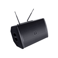Altavoz Bluetooth portátil profesional con batería recargable, compatible con FM, USB, tarjeta TF, entrada AUX y micrófono