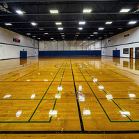 Structure en acier durable pour salle de basketball intérieure, conception de terrain spacieux sans colonnes, haute résistance à la charge de neige, galvanisation à chaud, usage industriel