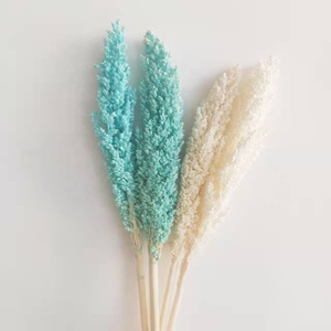 El mundo <span class=keywords><strong>de</strong></span> <span class=keywords><strong>las</strong></span> flores <span class=keywords><strong>de</strong></span> sorgo secas más vendidas para boda/<span class=keywords><strong>casa</strong></span>/decoración del hogar arreglo floral - Product Image 5