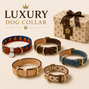 Luxury Brand <b>Dog</b> <b>Collar</b> Adjustable Designer Pet <b>Collar</b> And Leash Set Soft Webbing <b>Dog</b> Walking Set Ready Stock - Product Image 4