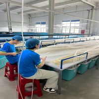 Boîte d'emballage de tripes de volaille sèches de qualité alimentaire, grade A, vente en gros directe d'usine, longueur personnalisée