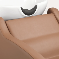 Chaise de massage électrique pour salon de coiffure, avec bac, mobilier de salon, brun