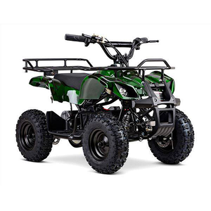 <span class=keywords><strong>Quad</strong></span> enfant <span class=keywords><strong>électrique</strong></span> <span class=keywords><strong>1000W</strong></span> ATV avec compteur de vitesse - Product Image 1