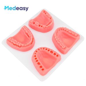 Kit de formation de suture dentaire Suture modèle de pratique dentaire Suture <span class=keywords><strong>Pad</strong></span> pour étudiant en médecine - Product Image 4