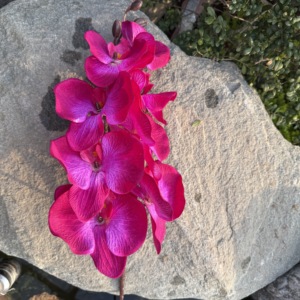 Flores <span class=keywords><strong>de</strong></span> Orquídea Mariposa Artificiales Realistas al por Mayor, Impresas en 3D, <span class=keywords><strong>de</strong></span> <span class=keywords><strong>Seda</strong></span> y Alambre, Arreglos Florales Artificiales Modernos para Bodas y Hogar - Product Image 2
