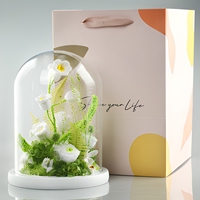 Neue Produktideen 2026 Glaskuppel Konservierte Blume Handgemachtes Romantisches Geburtstagsgeschenk für Mädchen Konservierte Rosen Großhandel
