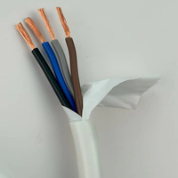 Câble flexible multiconducteur RVV 2 3 4 5 Core 0.75mm 1mm 1.5mm 2.5mm 4mm 6mm Câble électrique Câble d'alimentation