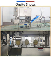 Multihead mango-ontpittermachine, machine voor het ontpitten van verse mango's voor mango-verwerkingsbedrijven