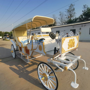 Calèche de tourisme blanche à trois rangées pour parc, calèche électrique pour mariage, facile à utiliser - Product Image 2