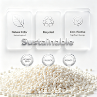 Granulés de polypropylène recyclé naturel, couleur naturelle, durables, pour le moulage par injection et les articles ménagers