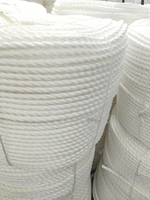Corde de tresse creuse PP PE pour la ligne de travail de l'industrie du gréement 1/6 3 ou 4 brins PP PE torsion double torsion