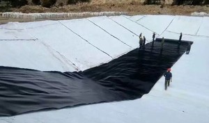 Géomembrane en PEHD pour bassin à poissons, décharge, anti-UV, exploitation minière, anti-infiltration, membrane plastique imperméable, feuille de membrane, revêtement de réservoir d'eau - Product Image 3