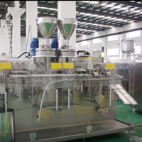 Machine d'emballage de sachets Doypack à fermeture éclair duplex DS-280DSZ, remplissage de poudre, film/sacs multifonctions de qualité alimentaire