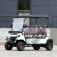 Voiturette de golf électrique 6 places avec pneus tout-terrain, prix abordable, pare-chocs personnalisable pour le camping sauvage, les traversées et les scénarios de travail en dune