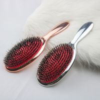 Ensemble de brosses à cheveux ioniques pour femmes, brosse à cheveux en nylon antistatique à picots de sanglier, placage électrolytique argenté