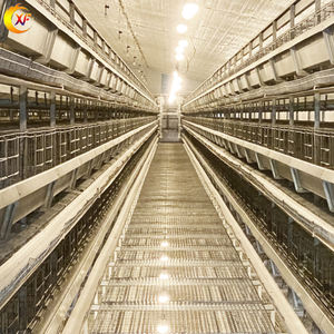 Gallinas <span class=keywords><strong>de</strong></span> <span class=keywords><strong>gallo</strong></span> automáticas Capa <span class=keywords><strong>de</strong></span> cría mixta Jaula <span class=keywords><strong>de</strong></span> batería <span class=keywords><strong>de</strong></span> pollo Equipo <span class=keywords><strong>de</strong></span> cría para poner Pollo <span class=keywords><strong>de</strong></span> 20000 capas - Product Image 6